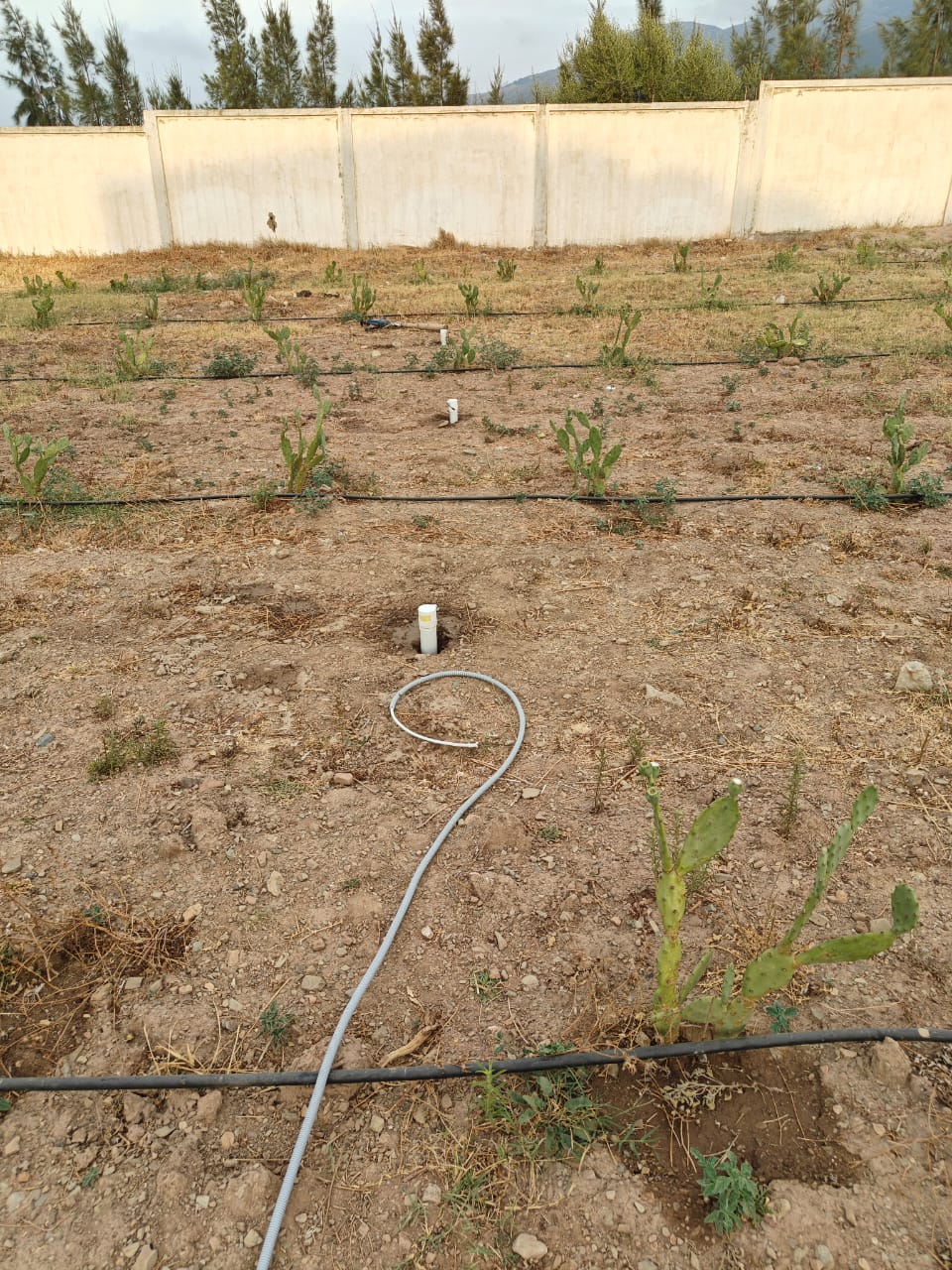 Points de mesure du sol installés dans les parcelles de l'ENSH