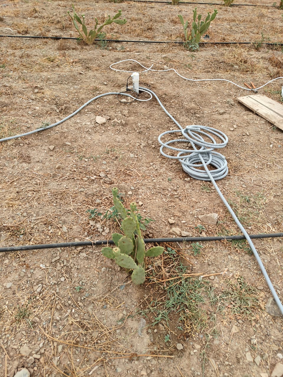 Câblage RS485 des capteurs de sol routé à travers la parcelle